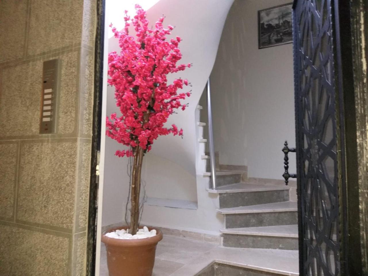 Pera Colour House Aparthotel Istanbul Exterior photo